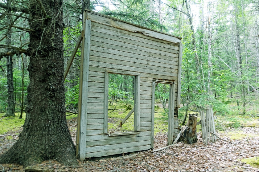 False front of a wooden building, standing alone next to a tree